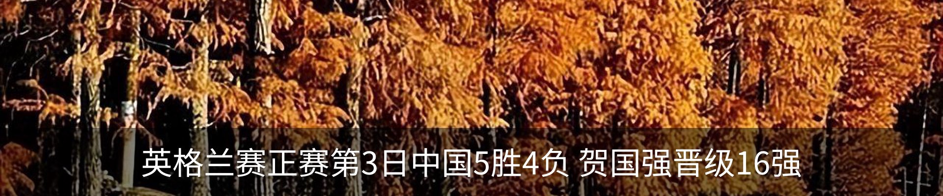 内页banner